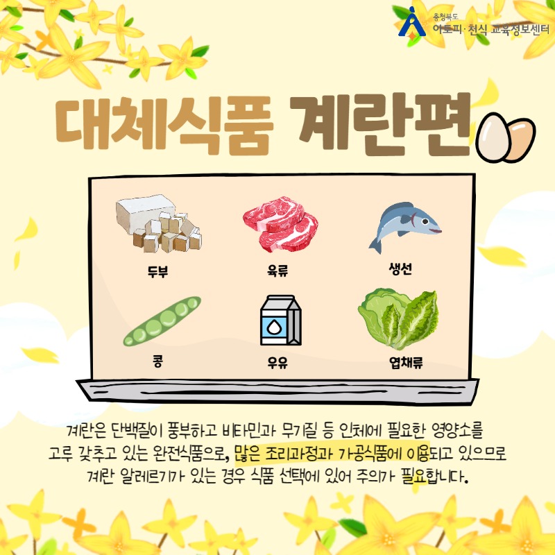 대체식품_계란편-001.jpg