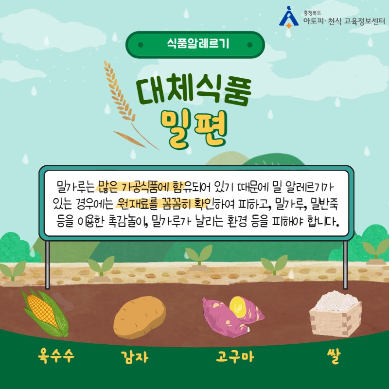 식품알레르기_밀편-001.jpg