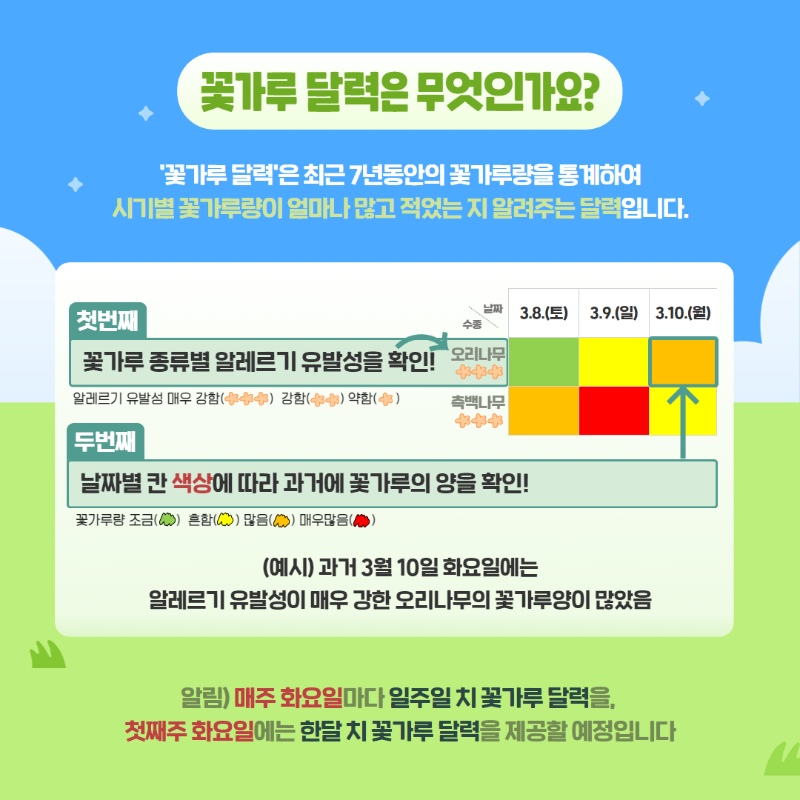 꽃가루 달력(주간) 2.png