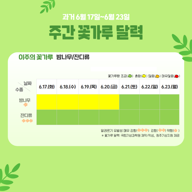 꽃가루 달력(주간) 3.png