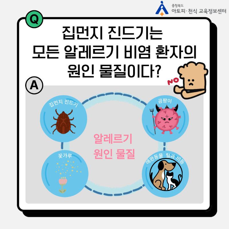 [자주 틀리는 질문] 알레르기편 (3).png